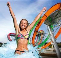 Wet'n'Wild Gold Coast - Accommodation in Surfers Paradise