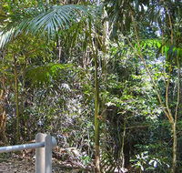 Goorgana walking track - Accommodation in Surfers Paradise