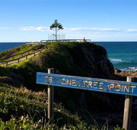 One Tree Point Lookout and Picnic Area - Accommodation in Surfers Paradise