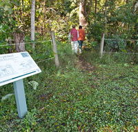 Coramba Nature Reserve - Accommodation in Surfers Paradise