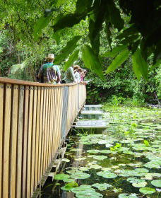Rocky Creek Dam - Accommodation in Surfers Paradise 0