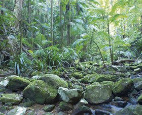 Rocky Creek Dam - Accommodation in Surfers Paradise 5