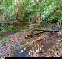 Ulidarra National Park - Accommodation in Surfers Paradise