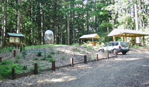 The Pines Picnic Area - Accommodation in Surfers Paradise 2