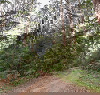 End Peak walking track - Accommodation in Surfers Paradise