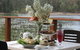 Abundance Lifestyle And Garden - thumb 0