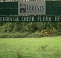 Woolgoolga Creek Flora Reserve - Accommodation in Surfers Paradise