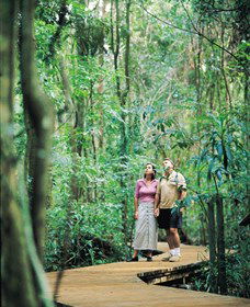 Victoria Park Nature Reserve - Accommodation in Surfers Paradise 1