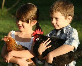 Summerland House Farm - House With No Steps - Accommodation in Surfers Paradise 2