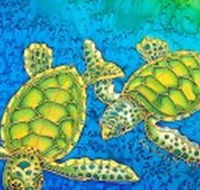 Sea Silks Gallery - Accommodation in Surfers Paradise