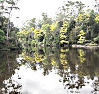 Arthur River - Accommodation in Surfers Paradise