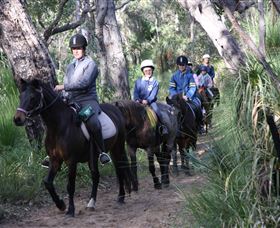Mirravale Horse Riding School - Accommodation in Surfers Paradise 0