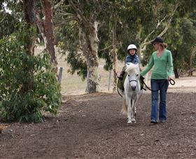 Mirravale Horse Riding School - Accommodation in Surfers Paradise 2