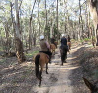 Silver Brumby Trails - Accommodation in Surfers Paradise