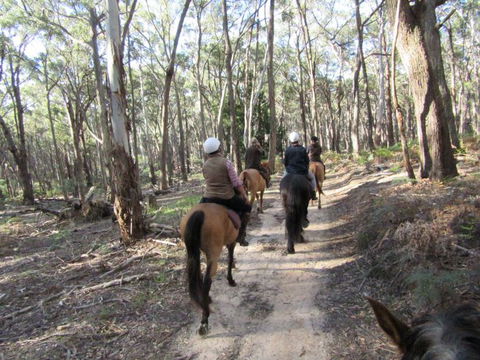 Silver Brumby Trails - Accommodation in Surfers Paradise 0