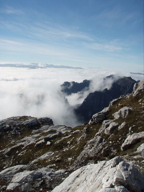 Trek Tasmania - Accommodation in Surfers Paradise 5