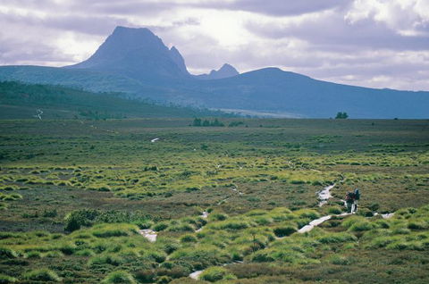 Trek Tasmania - Accommodation in Surfers Paradise 7