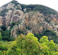 Mount Greville Track - Accommodation in Surfers Paradise