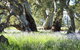 Aussie Heritage Tours - thumb 5