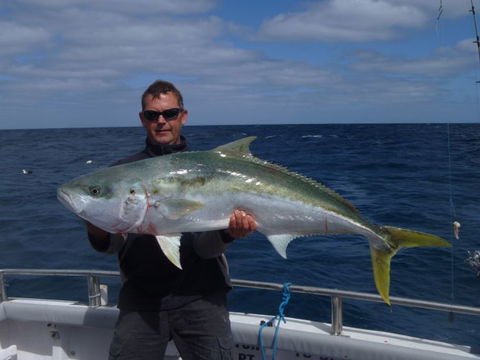 Reef Encounters Fishing Charters. - Accommodation in Surfers Paradise 12
