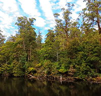 A R Reflections River Cruises - Accommodation in Surfers Paradise