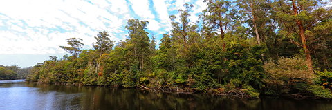 A R Reflections River Cruises - Accommodation in Surfers Paradise 0