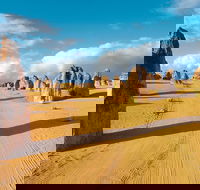 Pinnacles Desert Koalas and Sandboarding 4WD Day Tour from Perth - Accommodation in Surfers Paradise