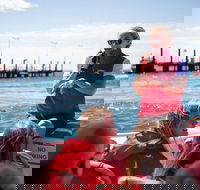 Rottnest Island Tour from Perth or Fremantle including Adventure Speed Boat Ride - Accommodation in Surfers Paradise
