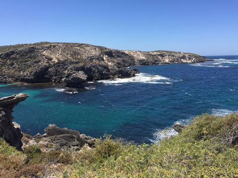 Rottnest Island Tour From Perth Or Fremantle Including Bus Tour - Accommodation in Surfers Paradise 3