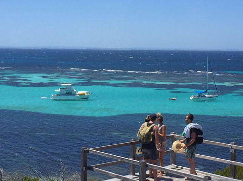 Rottnest Island Tour From Perth Or Fremantle Including Bus Tour - Accommodation in Surfers Paradise 4