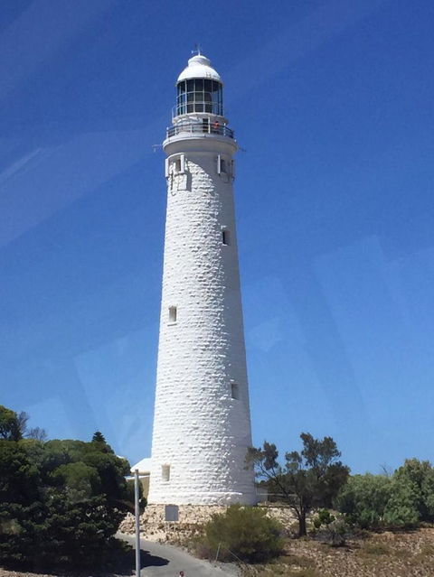 Rottnest Island Tour From Perth Or Fremantle Including Bus Tour - Accommodation in Surfers Paradise 2