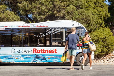 Rottnest Island Tour From Perth Or Fremantle Including Bus Tour - Accommodation in Surfers Paradise 0