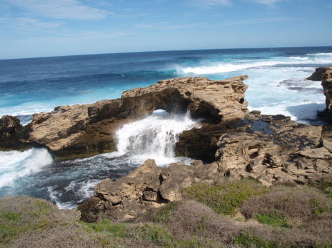 Rottnest Island Tour From Perth Or Fremantle Including Bus Tour - Accommodation in Surfers Paradise 5