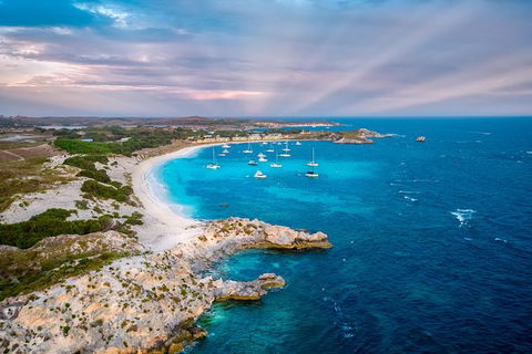 Rottnest Island Tour From Perth Or Fremantle Including Bus Tour - Accommodation in Surfers Paradise 8