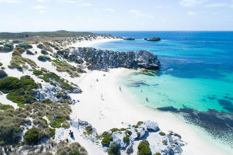 Rottnest Island Tour From Perth Or Fremantle Including Bus Tour - Accommodation in Surfers Paradise 7
