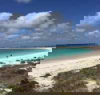 Abrolhos Island Half Day Fly and Flipper - Accommodation in Surfers Paradise