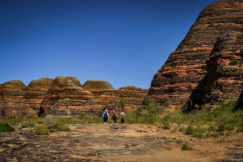 Bungle Bungle Flight, Domes & Cathedral Gorge Guided Walk From Kununurra - Accommodation in Surfers Paradise 3
