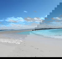 Shipwreck Special Nature Tour/Half Day Tour - Accommodation in Surfers Paradise