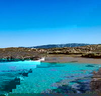 Rottnest Island Roundtrip Fast Ferry from Hillarys Boat Harbour - Accommodation in Surfers Paradise
