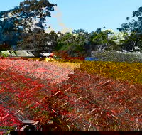 Swan Valley Wine Time Private Day Tour - Accommodation in Surfers Paradise