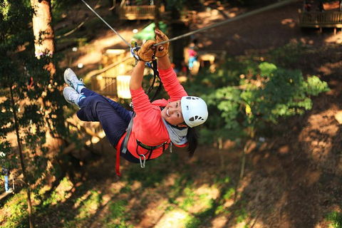 Trees Adventure Lane Poole Park - Treetop & Zipline Experience - Accommodation in Surfers Paradise 0