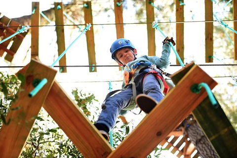 Trees Adventure Lane Poole Park - Treetop & Zipline Experience - Accommodation in Surfers Paradise 1