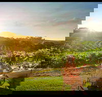 Private Swan Valley Tour by Luxury Vehicle from Perth - Accommodation in Surfers Paradise