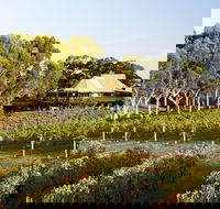 Margaret River and Geographe Bay Region Day Trip from Perth - Accommodation in Surfers Paradise
