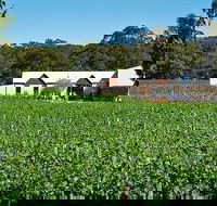 Upper Reach Winery Swan Valley Winery and Vineyard Tour - Accommodation in Surfers Paradise