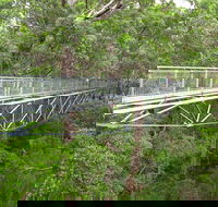 Albany Southwest Wilderness Day Tour - Fly From Perth - Accommodation in Surfers Paradise