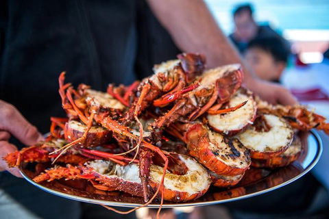 Mandurah Wild Seafood Adventure Cruise - Accommodation in Surfers Paradise 1