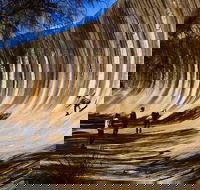 The Big Wave Rock Private Day Tour - Accommodation in Surfers Paradise