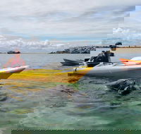 Seal Island and Penguin Island or Point Peron Sea Kayak Tour - Accommodation in Surfers Paradise