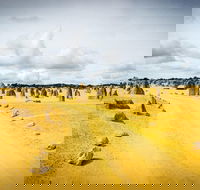 1 Day Pinnacles Wildlife  Sandboarding - Accommodation in Surfers Paradise